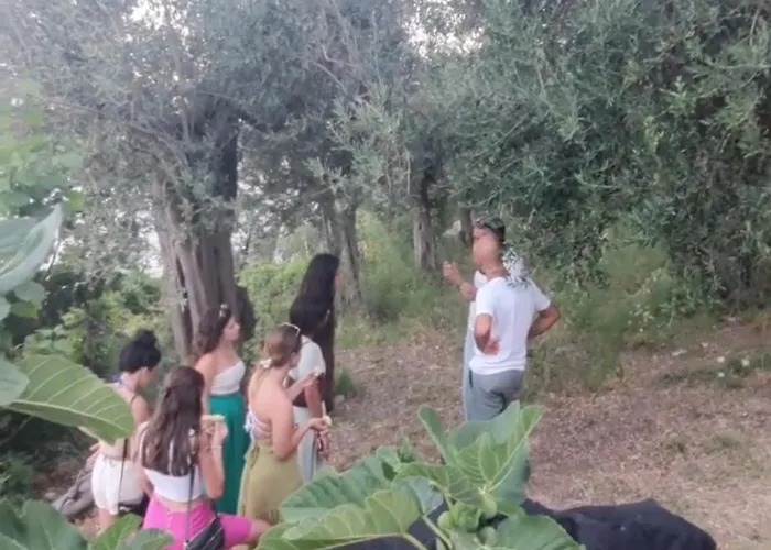 Gasthuis Fuoco D'amalfi Iazzetta 3*