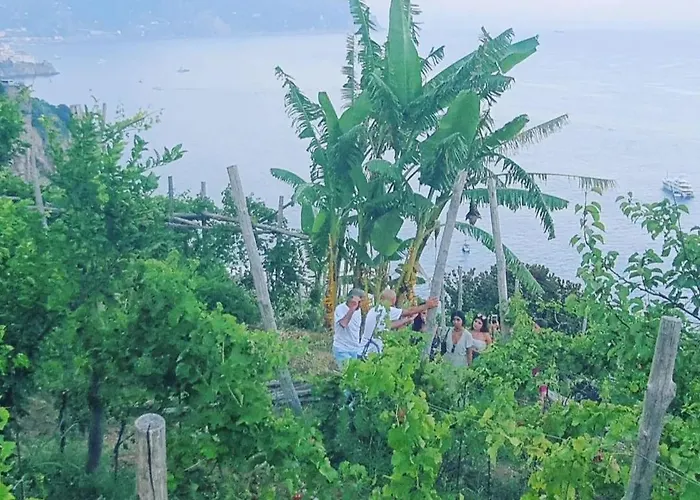 Gasthuis Fuoco D'amalfi Iazzetta