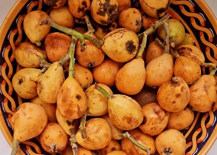 Gasthuis Fuoco D'amalfi Iazzetta Amalfi