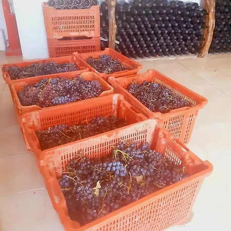 Fuoco D'amalfi Iazzetta Gæstehus