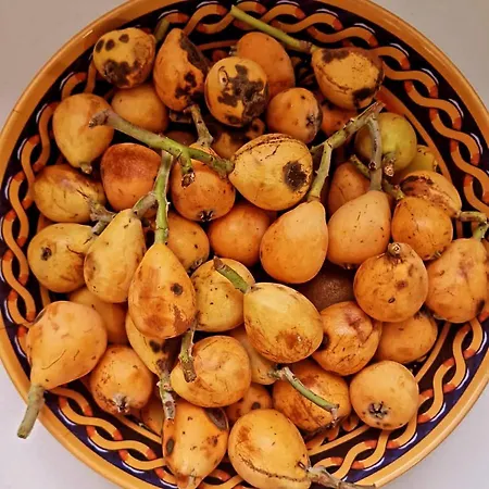 Penzion Fuoco D'amalfi Iazzetta Amalfi