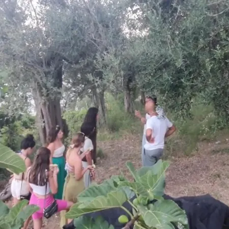 Gæstehus Fuoco D'amalfi Iazzetta 2*