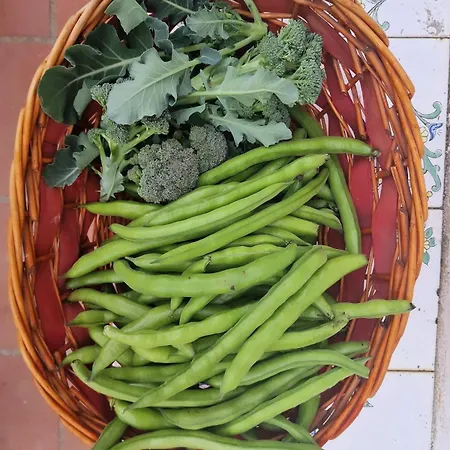 Vendégház Fuoco D'amalfi Iazzetta